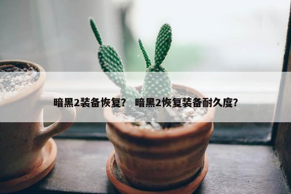 暗黑2装备恢复？ 暗黑2恢复装备耐久度？