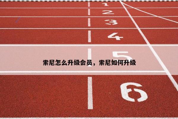 索尼怎么升级会员，索尼如何升级