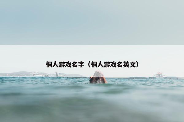 桐人游戏名字（桐人游戏名英文）