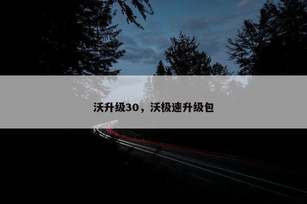 沃升级30，沃极速升级包