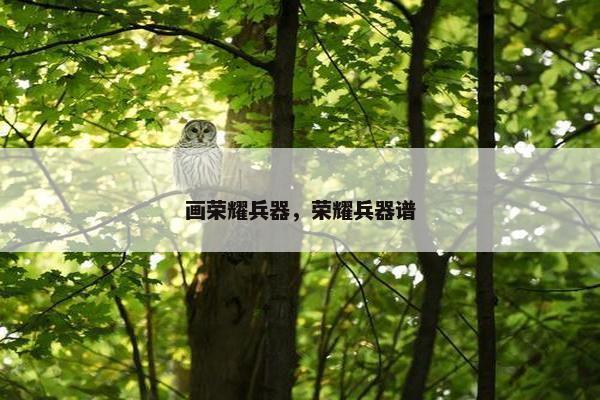 画荣耀兵器，荣耀兵器谱