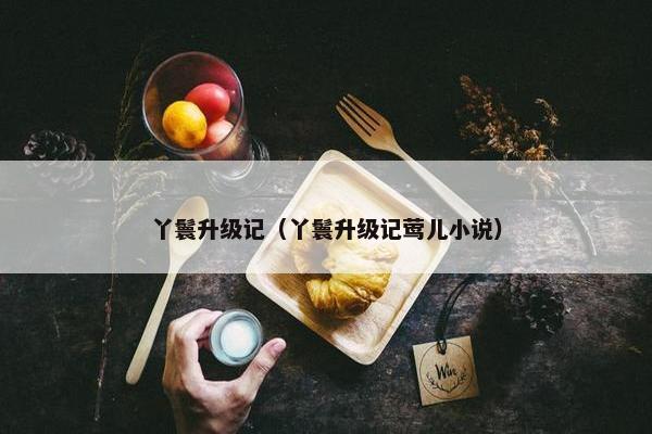 丫鬟升级记（丫鬟升级记莺儿小说）