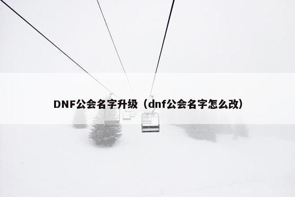 DNF公会名字升级（dnf公会名字怎么改）