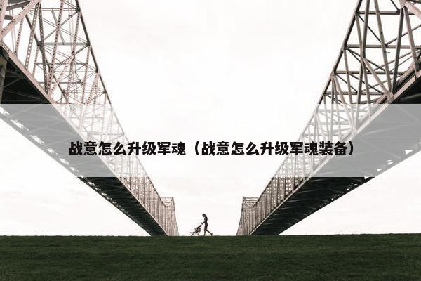 战意怎么升级军魂（战意怎么升级军魂装备）