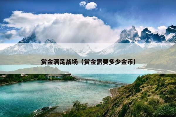 赏金满足战场（赏金需要多少金币）