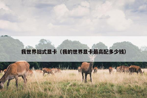 我世界旧式显卡（我的世界显卡最高配多少钱）
