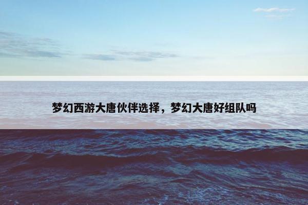 梦幻西游大唐伙伴选择，梦幻大唐好组队吗