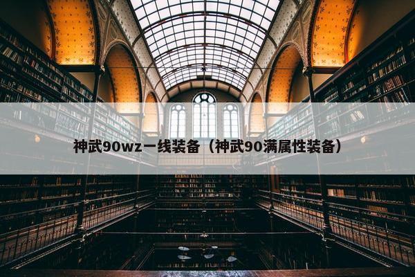 神武90wz一线装备（神武90满属性装备）
