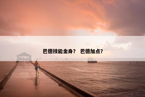 巴德技能金身？ 巴德加点？
