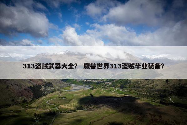 313盗贼武器大全？ 魔兽世界313盗贼毕业装备？