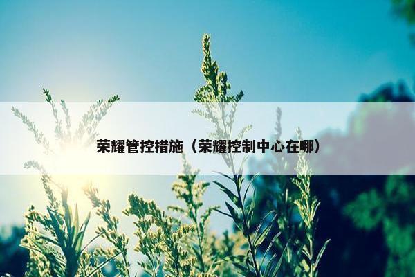 荣耀管控措施（荣耀控制中心在哪）