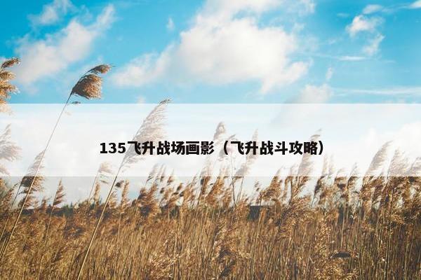 135飞升战场画影（飞升战斗攻略）