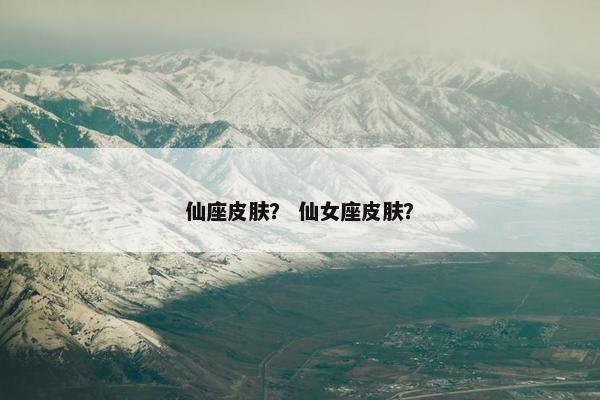 仙座皮肤？ 仙女座皮肤？