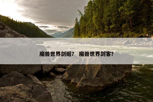 魔兽世界剑姬？ 魔兽世界剑客？