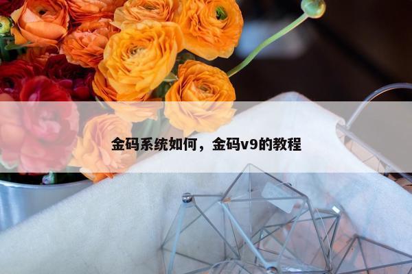 金码系统如何，金码v9的教程