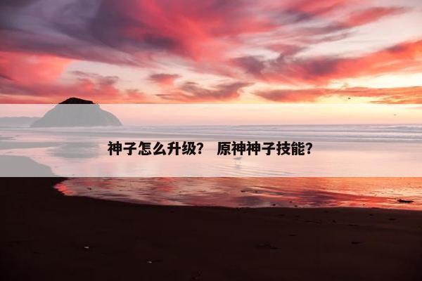 神子怎么升级？ 原神神子技能？