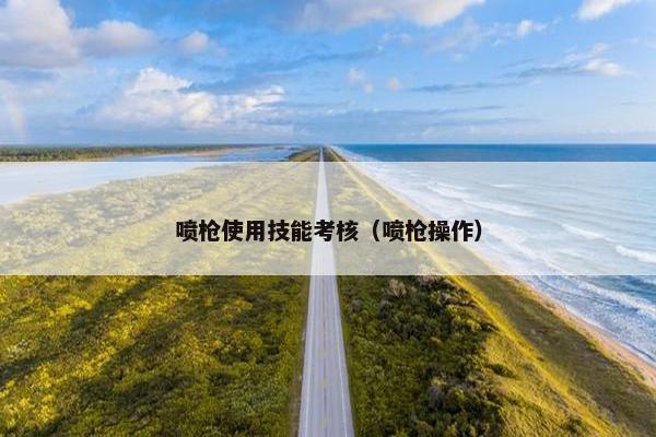 喷枪使用技能考核（喷枪操作）
