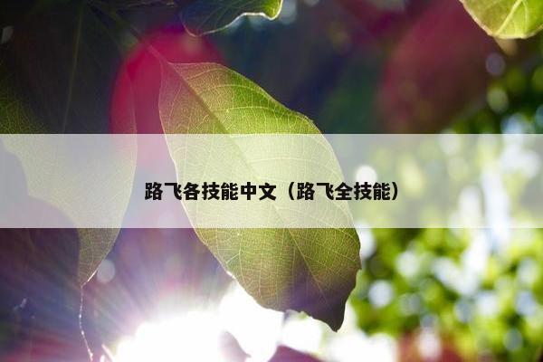 路飞各技能中文（路飞全技能）