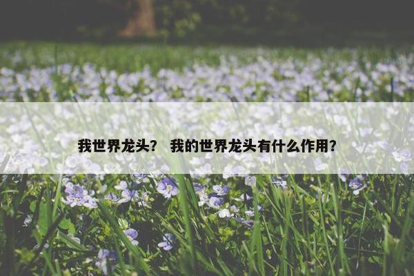 我世界龙头？ 我的世界龙头有什么作用？