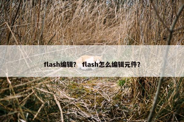 flash编辑？ flash怎么编辑元件？