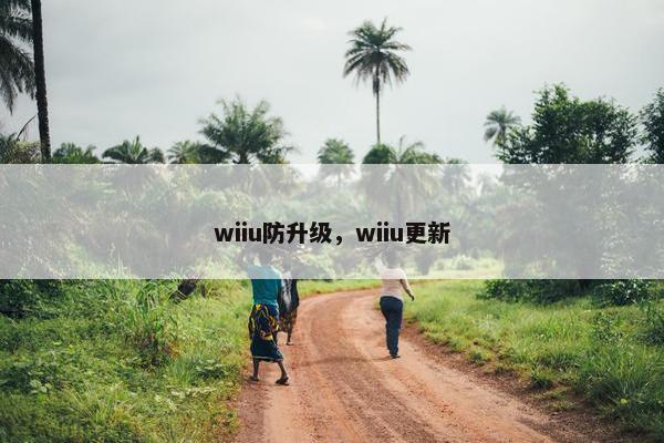 wiiu防升级，wiiu更新