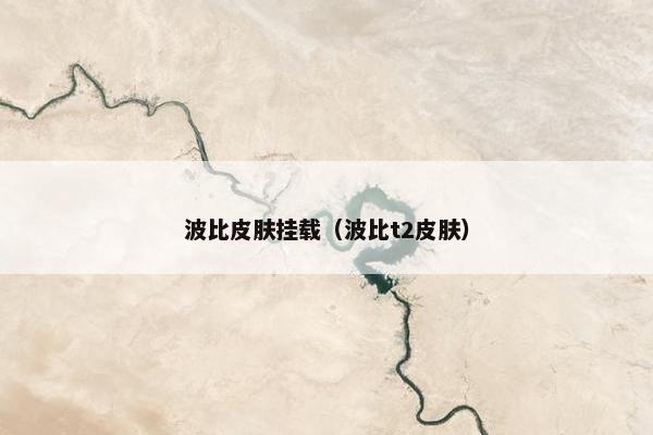 波比皮肤挂载（波比t2皮肤）
