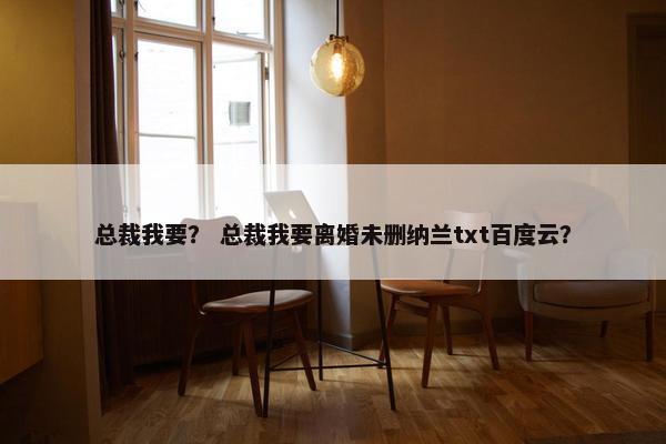 总裁我要？ 总裁我要离婚未删纳兰txt百度云？