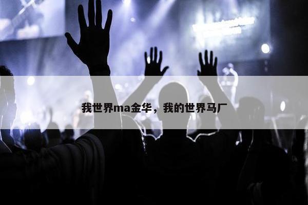 我世界ma金华，我的世界马厂