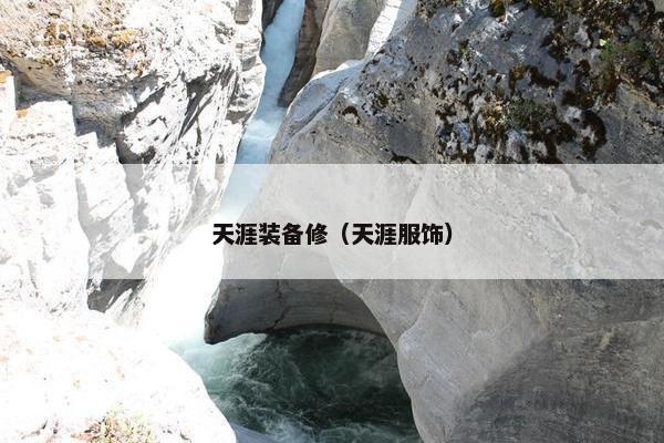 天涯装备修（天涯服饰）