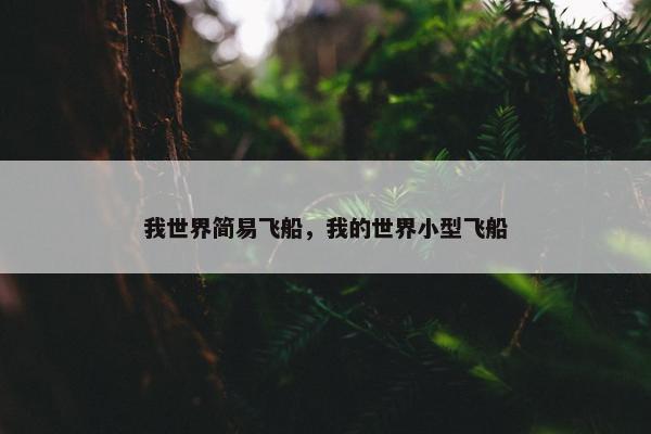 我世界简易飞船，我的世界小型飞船