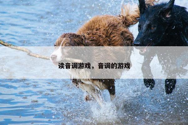 读音调游戏，音调的游戏