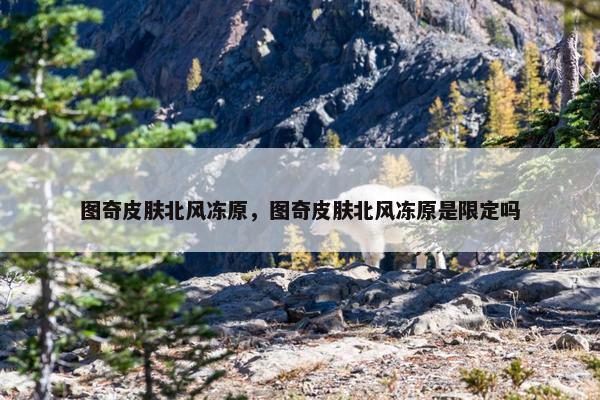 图奇皮肤北风冻原，图奇皮肤北风冻原是限定吗