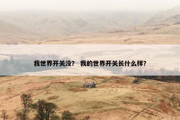 我世界开关没？ 我的世界开关长什么样？