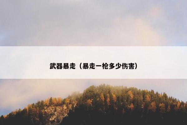 武器暴走（暴走一枪多少伤害）