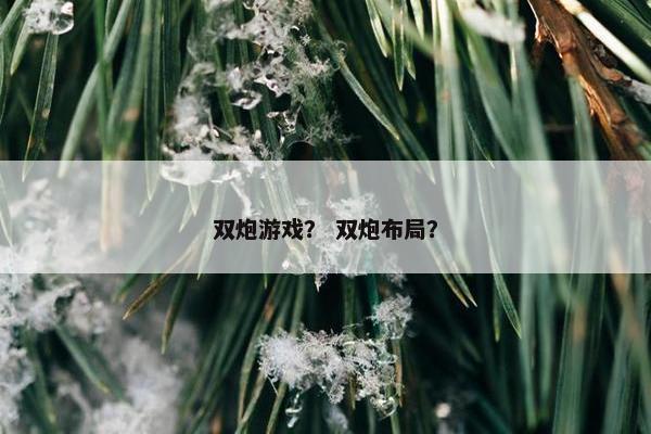 双炮游戏？ 双炮布局？