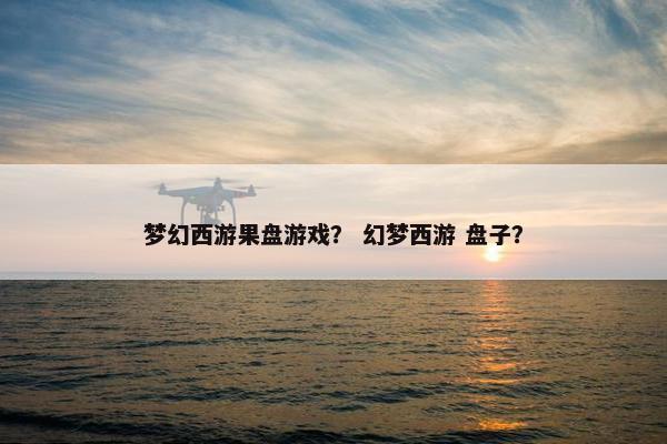 梦幻西游果盘游戏？ 幻梦西游 盘子？