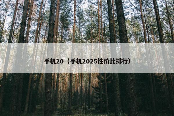 手机20（手机2025性价比排行）