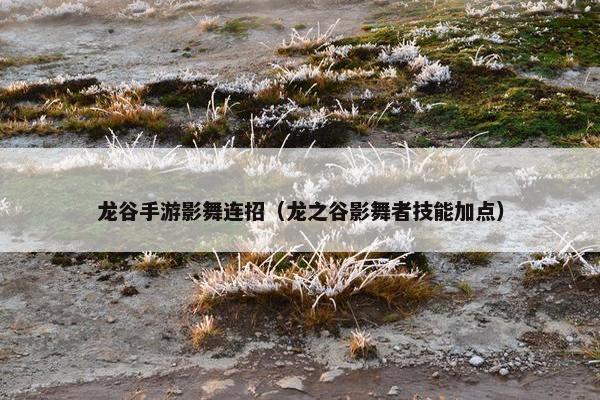 龙谷手游影舞连招（龙之谷影舞者技能加点）