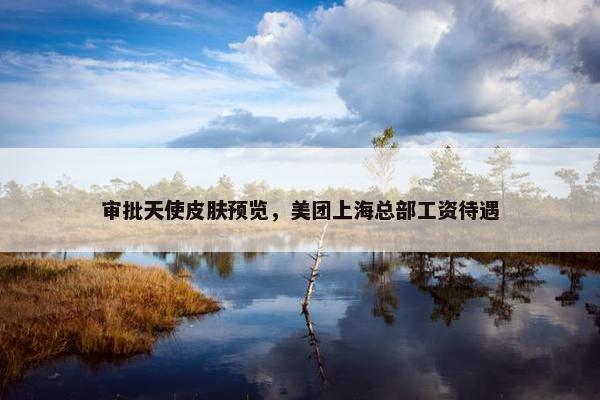 审批天使皮肤预览，美团上海总部工资待遇