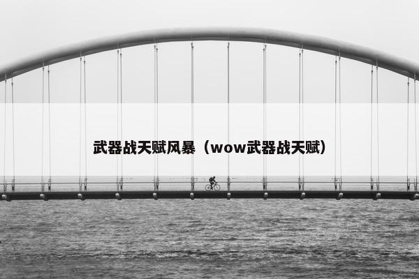 武器战天赋风暴（wow武器战天赋）