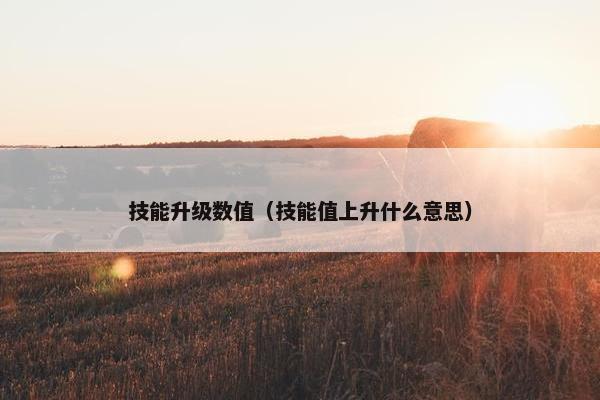 技能升级数值（技能值上升什么意思）