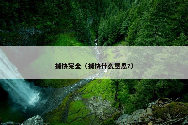 捕快完全（捕快什么意思?）