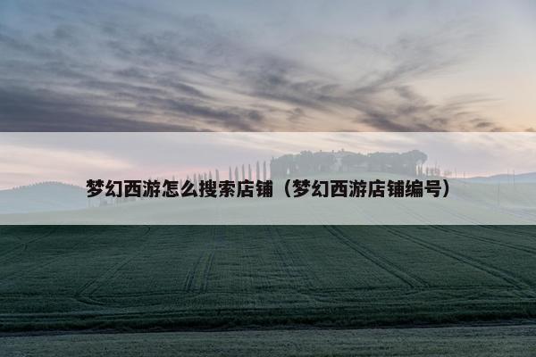 梦幻西游怎么搜索店铺（梦幻西游店铺编号）