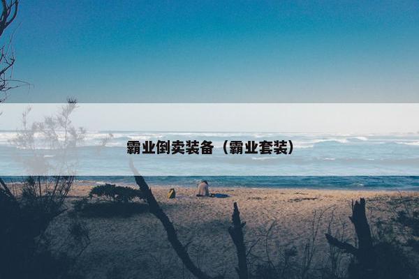 霸业倒卖装备（霸业套装）