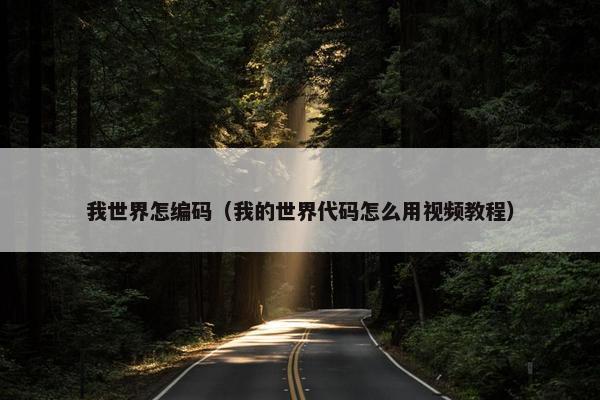 我世界怎编码（我的世界代码怎么用视频教程）