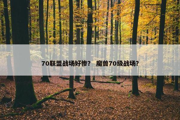 70联盟战场好惨？ 魔兽70级战场？