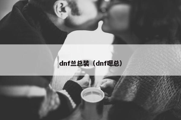 dnf兰总装（dnf嗯总）