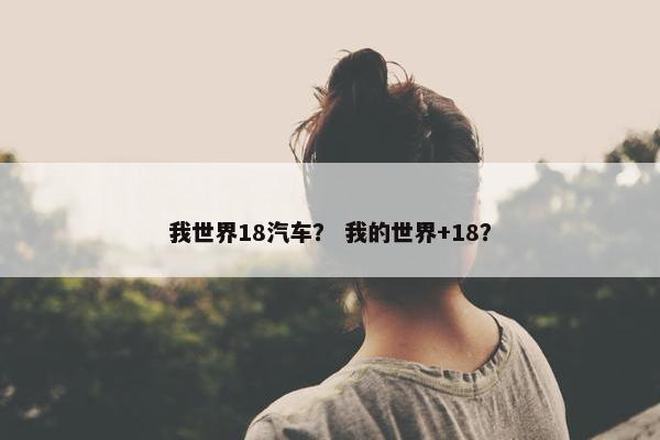 我世界18汽车？ 我的世界+18？