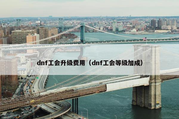 dnf工会升级费用（dnf工会等级加成）