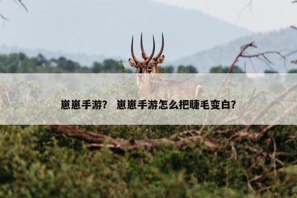 崽崽手游？ 崽崽手游怎么把睫毛变白？